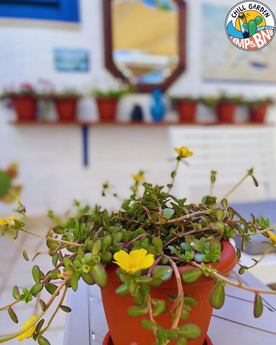 Couette-café Chill Garden Experience San Pietro in Bevagna